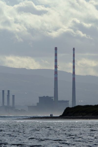 A Walk on the Wild Side